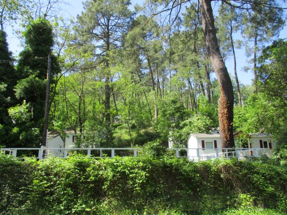 Mobile-homes buiten
